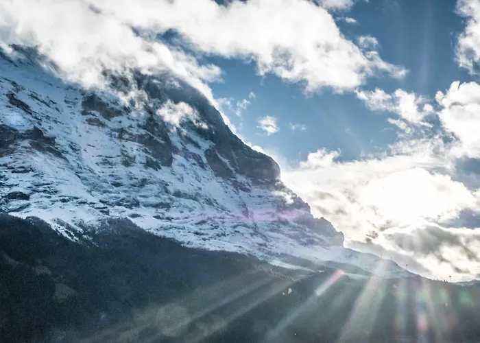 Walt 4.5 - Griwa Rent Ag Appartement